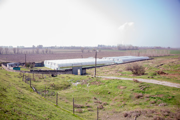 Wall Mural - Photo of a typical greenhouse outdoors