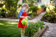 © Irina Schmidt - Beautiful little toddler girl in yellow rubber boots and colorful dress watering spring flowers with kids water can. Happy child helping in family garden, outdoors.