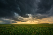 Storm Clouds , Dramatic Dark Sky Over The Rural Field Landscape