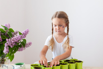 Wall Mural - Little girl in a white T-shirt plants pea seeds in green pots, a child cares for plants, a home garden on the window