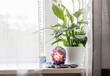 © FotoHelin - Using semi precious stone crystal details in home concept. Amethyst geode lamp burning, spiritual calming home atmosphere. Air cleaning plant flower Spathiphyllum, spath or peace lilie growing.