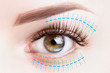 Blepharoplasty treatment, plastic surgery, face lift concept. Female eye close up
