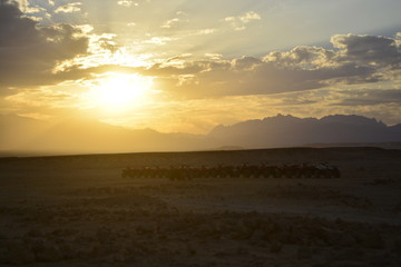 sunset on the desert