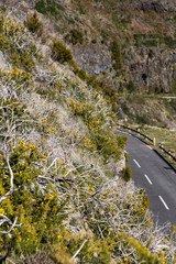 Mountain road on Madeira Island, Portugal