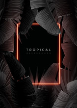 Dark Monochrome Tropical Design With Exotic Banana Leaves, Soft Neon Frames And Space For Text. Vector Summer Template For Poster, Banner, Card Or Flyer.