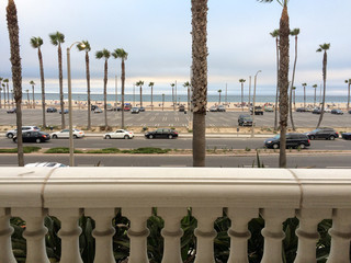 Wall Mural - Palm trees at coastline and ocean with cloudy sky