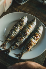 Close Up Of Grilled Sardines Served On Plate