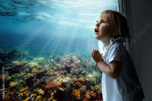 the child looks out the window on fish and the coral bottom in the aquarium Poster Mural XXL