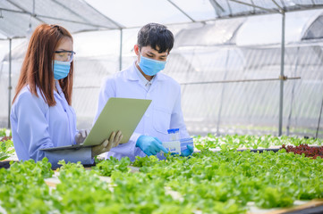 in the industrial greenhouse two agricultural engineers test plants health and analyze data with tab