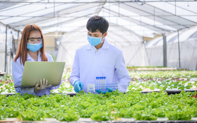 in the industrial greenhouse two agricultural engineers test plants health and analyze data with tab