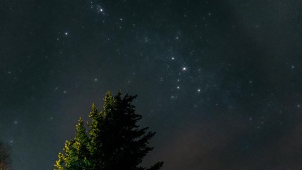 Wall Mural - Timelapse of the stars over the tree at night. Starry night. Milkyway time lapse footage.