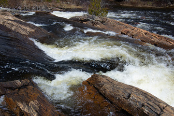 Wall Mural - Chute d'eau en forêt canadienne