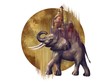 Modern digital painting Indian or African elephant. Art animal for decoration for wallpaper, canvas, design, print, interior. picture isolated white background.