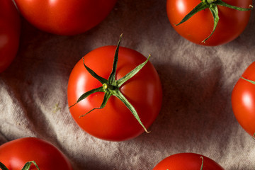 Canvas Print - Raw Organic Vine Ripe Red Tomatoes