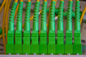 information technology equipment optical distribution panel with patch cord cable close-up