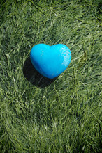Blue Heart Shaped Stone On Seaweed