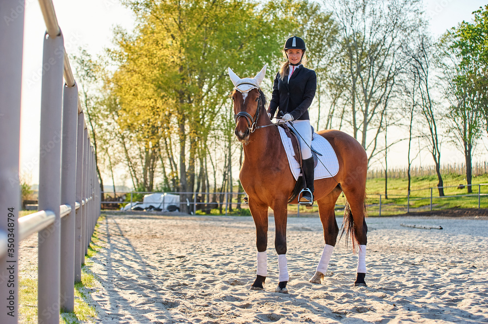Girl equestrian rider riding a beautiful horse in the rays of the ...