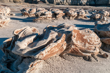 Wall Mural - bisti de-na-zin close up of the cracked eggs formation