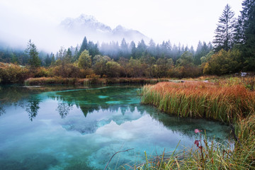 Sticker - Autumn in Zelenci nature reserve