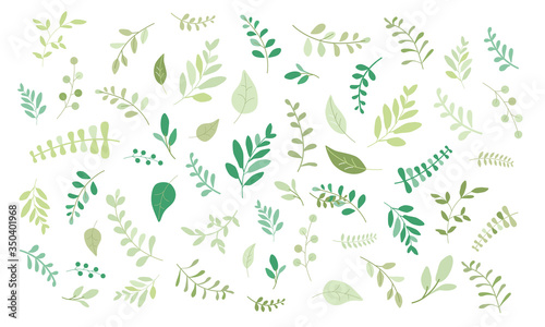 ナチュラル 植物 ベクター 素材 セット