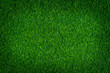 © BUDDEE - Artificial grass background