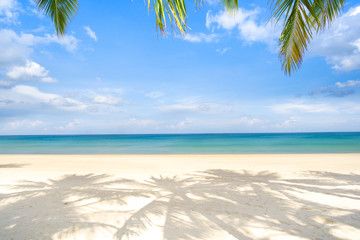 beach with palm trees