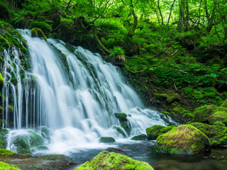 Poster - 元滝伏流水　秋田県