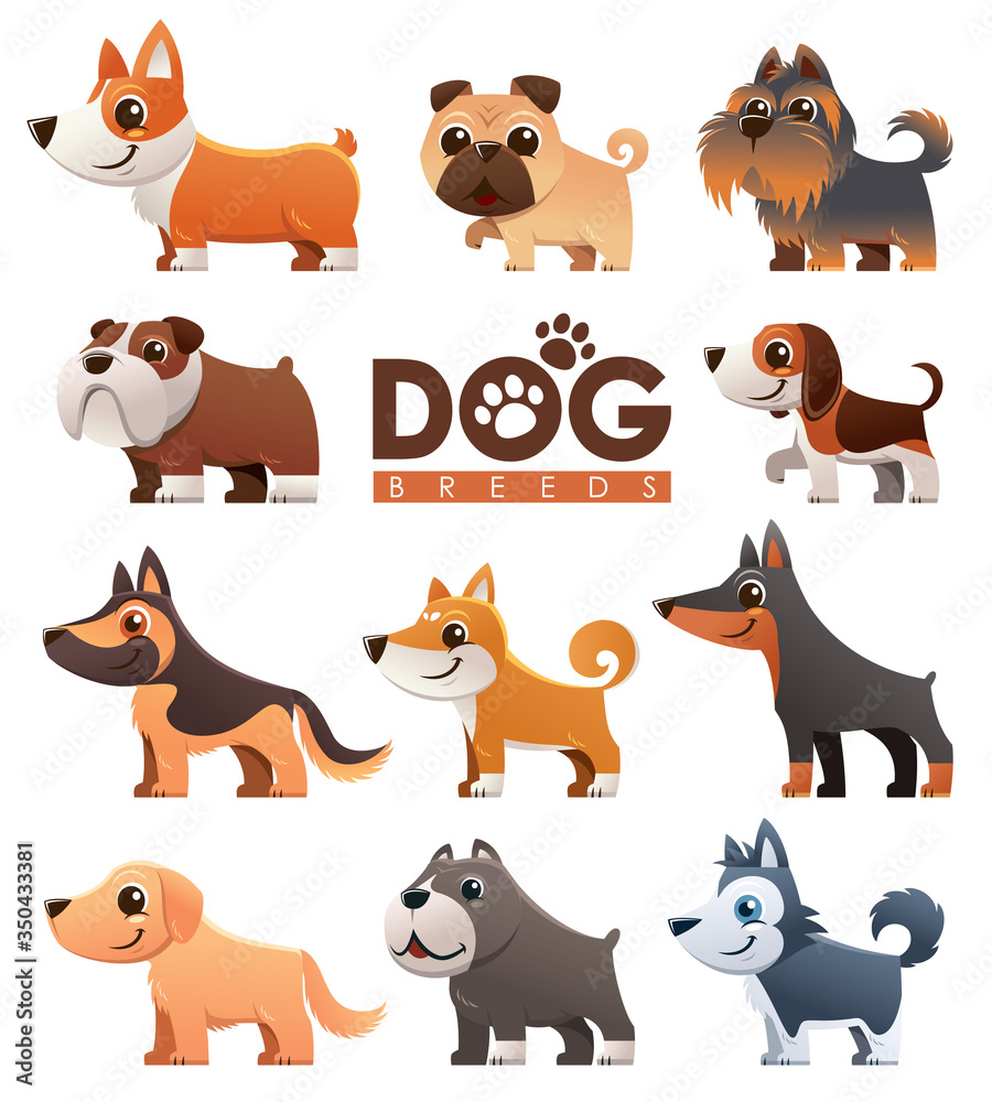 Vector illustration of Cartoon dogs breeds set Stock Vector | Adobe Stock