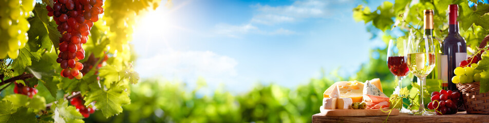  Wine and Cheese Platter with Grapes  in Vineyard