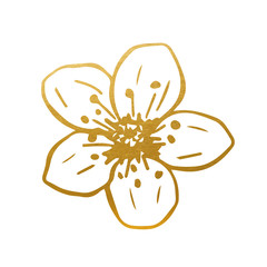 Sticker - Drawn Golden Cherry Flower - Golden Flower Vector Decoration