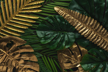 Creative Layout With Gold And Green Tropical Palm Leaves On Black Background. Minimal Summer Abstract Pattern.