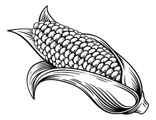 Poster - A sweet corn ear maize woodcut print or vintage etching style illustration