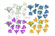 Set of Hand drawn colrful crocus flowers clipart. Floral design element. Isolated on white background. Vector illustration.