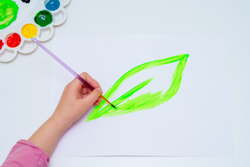 Wall Mural - Top view of child is drawing green leaf by watercolors on white paper. Earth day and environmental protection concept.