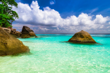 Wall Mural - Beautiful beach on the Similan islands at Andaman sea, Thailand