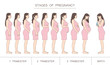 Stages of pregnancy, trimester and birth. Silhouette of a pregnant woman in profile. Brunette woman.