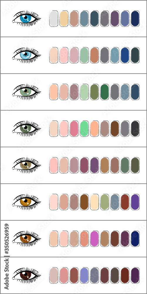 Image vectorielle Stock Eye makeup. Shades of eye shadow combined with eye color. Eye colors blue green brown. Adobe Stock