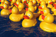 Many rubber ducks in the water, 3D render