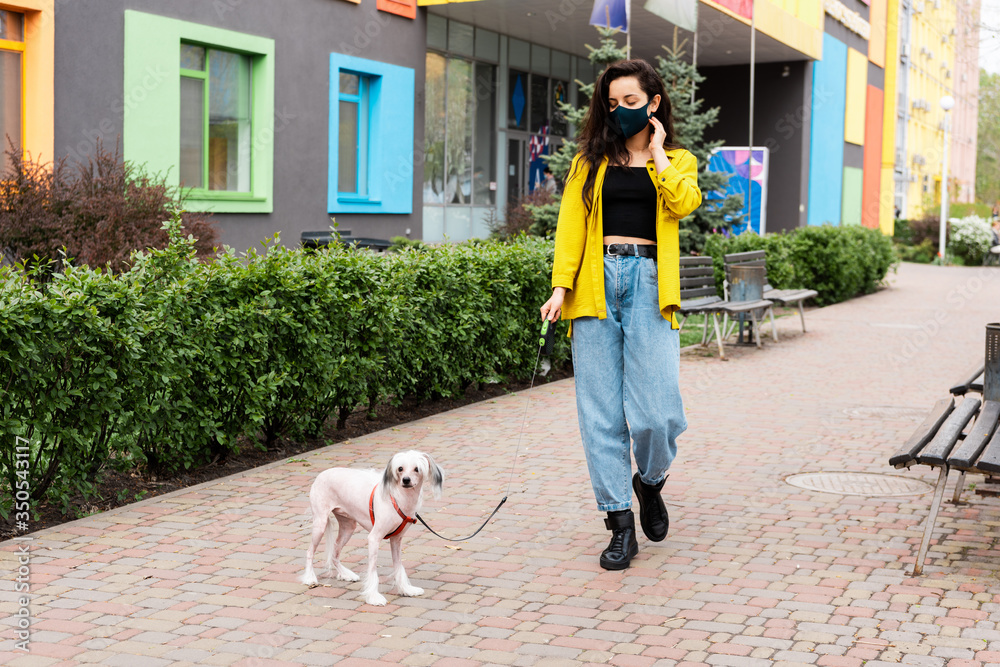 attractive woman in black medical mask walking with chinese crested dog in city - obrazy, fototapety, plakaty 