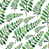 Fototapeta  - Delicate floral pattern in green colors on a white background. Seamless pattern of watercolor branches of eucalyptus. Eucalyptus. Colorful botanical print with leaves.