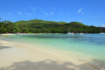 Wall Mural - Tropical beach on Seychelles island