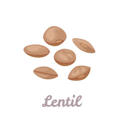 Wall Mural - Lentils isolated on white background. Grains of brown lentils. Vector illustration of legumes in cartoon flat style. Icon.