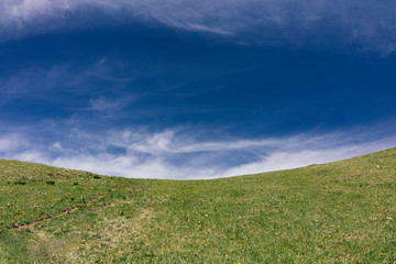 Green meadow and blue sky with the clouds.