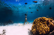 © artifirsov - Woman swimming underwater with yellow fins in ocean. Freediving or snorkeling in Mauritius