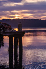 Wall Mural - sunrise over vashon island