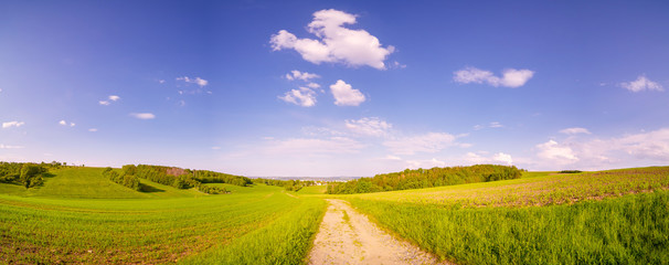 Sunny summer day  country road, green meadows and blue sky