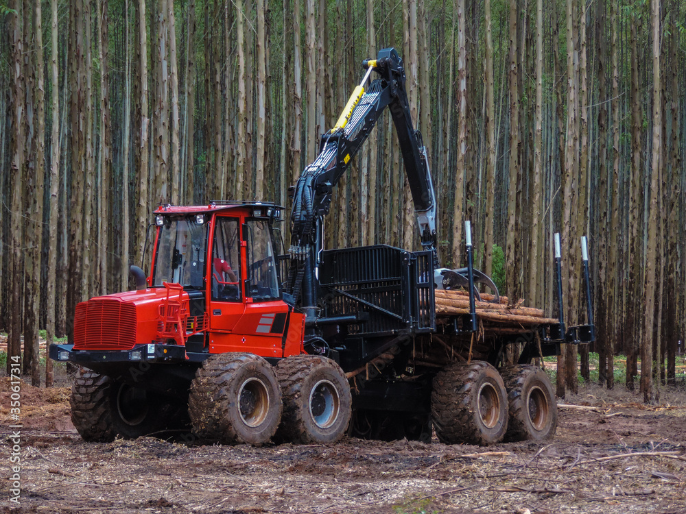 Logging Equipment Forest Machine - obrazy, fototapety, plakaty 