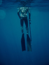 Freediver Ascending While Spearfishing