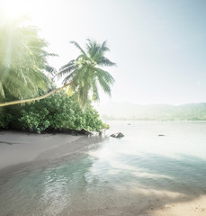 Wall Mural - beach on mahe island, seychelles
