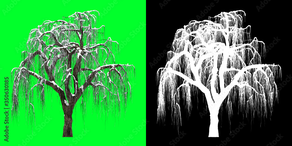 Left View Winter Tree 3D Render PNG Chroma Key Bakcground with Opacity ...
